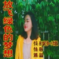 淼淼 - 放飞绿色的梦想