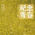 王小洋 - 青春II