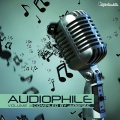 Audiomatic、Vaishiyas - Pattern Safari
