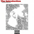 The Introduction