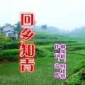 韩晓辉 - 回乡知青