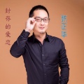 张正华 - 封存的爱恋