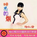杨红梅、火凤凰 - 相思如烟