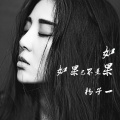 杨子一 - 如果已不是如果