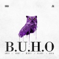 B.U.H.O (Explicit)