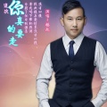 杨政 - 你真的要走