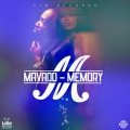 Memory (Explicit)