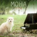 Moha - 나를 버리지 말아요
