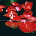 毛儿 - 春