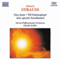 Slovak Philharmonic Orchestra、Zdenek Kosler - Of the Great Longing