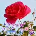 刘罡、李思音 - 让你美丽更美丽