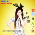 DJ辉仔、夏晓微 - 一切都是为了你