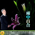 皖北画王 - 雨中百合