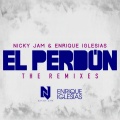 El Perdón (with Enrique Iglesias)(Nesty Remix)