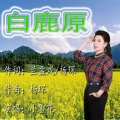 小雪花 - 白鹿原
