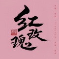 张卓 - 红玫瑰