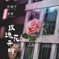 袁野、杜丽平 - 玫瑰花开时