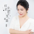 蒋婴 - 红尘茫茫今生一起走