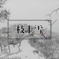 枝上雪