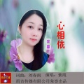 紫霞 - 心相依