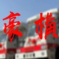 豪横的你