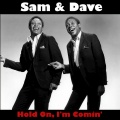 Sam & Dave - Don't Make It So Hard On Me