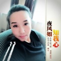 晓月 - 夜风如知我心