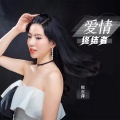倪尔萍 - 爱情终结者