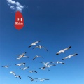 太阳洒在海洋的方向