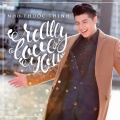 Really Love You