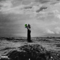 Yoshi Flower - Dirty Water