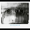 Hjaltalín、Sinfóníuhljómsveit Íslands、Daniel Bjarnason - Stay By You