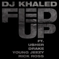 Fed Up (feat. Lil Wayne, Usher, Drake, Young Jeezy, Rick Ross)