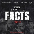 Facts Remix (Explicit)