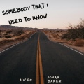 Somebody That I Used to Know