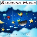 Sleeping Music、Deep Sleep、Sleep Playlist - Tranquil Deep Sleep Music