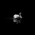 Mountain、MOUNT - Una Mattina (Remix)