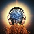 Harmonic Bliss: A World of Music