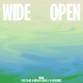 Wide Open (feat. Ta-ku & Masego)(Cabu & Ta-ku Remix)