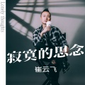 崔云飞 - 寂寞的思念