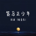 沈波 - 策马正少年
