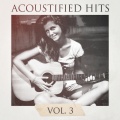 Acoustic Hits - Stay the Night  