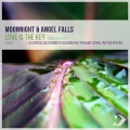 Angel Falls、Moonnight - Love Is the Key