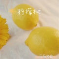 保安队长 - 柠檬树