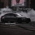 The Gangs (Remix)