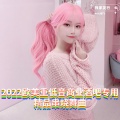 国飞 - 2022欧美重低音商业酒吧专用精品串烧舞曲