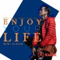 Karik - Enjoy Your Life