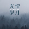 陈浩炫 - 友情岁月 (Feat.朱永棠)(Live)
