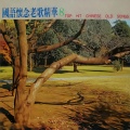 怡菁 - 又见雪花