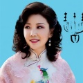 王媛琪 - 爱已悲凉